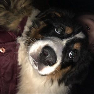 Meet your Posher, Kallie